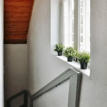 Cozy In Puhkemaja *